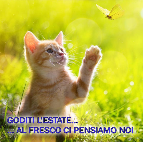 Promozione vendita rateale